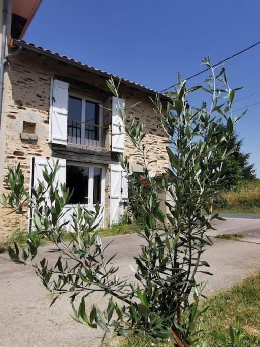 La Grange De Pierrot Villa Saint-Bazile ภายนอก รูปภาพ